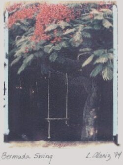 Bermuda Swing